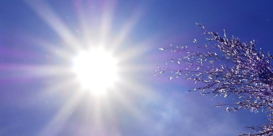 Quels sont les critères déclenchant le plan de vigilance canicule ?